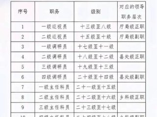 关于公务员职务与级别的关系、关于公务员职务与级别的关系论文