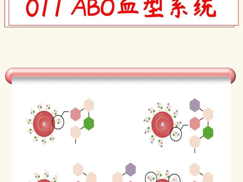 人的血型与基因的关系、人的血型与基因的关系是什么 人的血型与基因的关系、人的血型与基因的关系是什么
