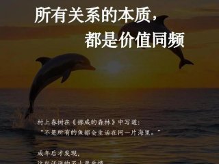 人际关系本质上是相互利用吗；人际关系本质上是相互利用吗对吗