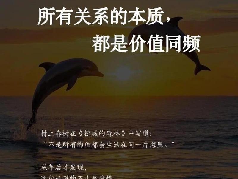 人际关系本质上是相互利用吗;人际关系本质上是相互利用吗对吗 人际关系本质上是相互利用吗;人际关系本质上是相互利用吗对吗