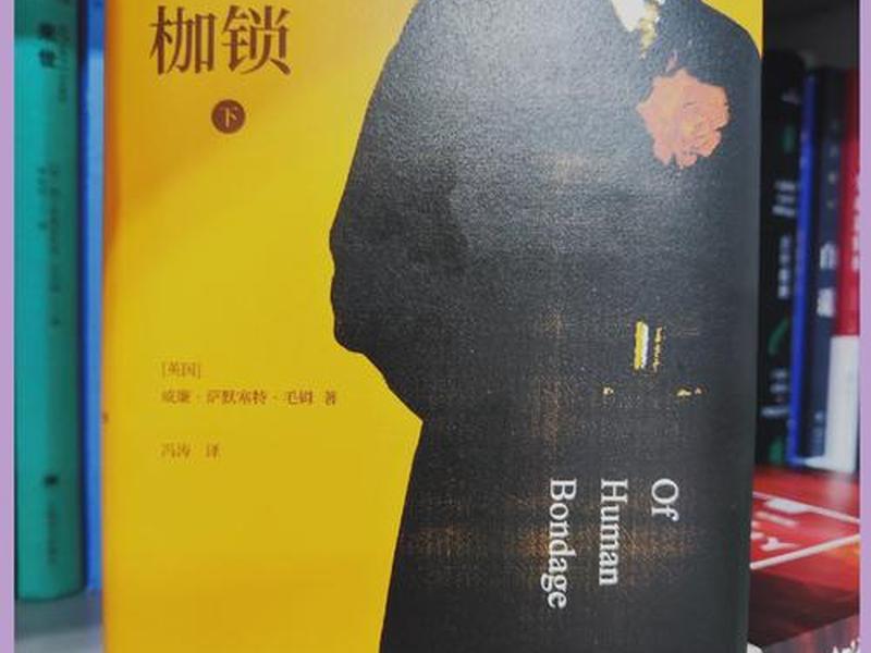 反映人性书籍 反映人性的书籍