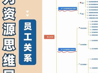 公司的管理关系、公司的管理关系是什么