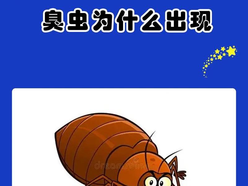 bug包括 bug包括哪些虫子 bug包括 bug包括哪些虫子
