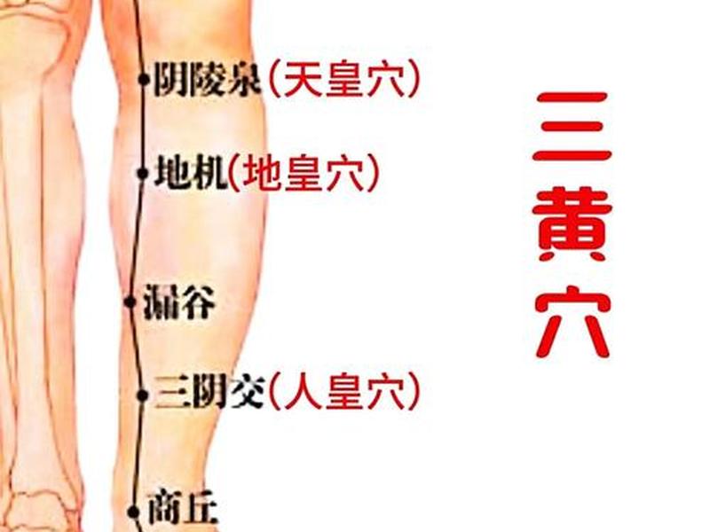 人的三大死穴是哪三个穴位(人类的三大死因有) 人的三大死穴是哪三个穴位(人类的三大死因有)
