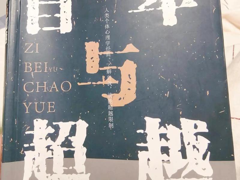 大概是在人际交往方面太自卑了 - 大概是在人际交往方面太自卑了英语