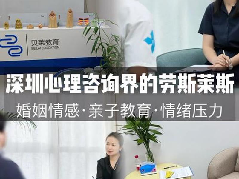 人际冲突心理咨询案例 - 人际冲突心理咨询案例范文 人际冲突心理咨询案例 - 人际冲突心理咨询案例范文