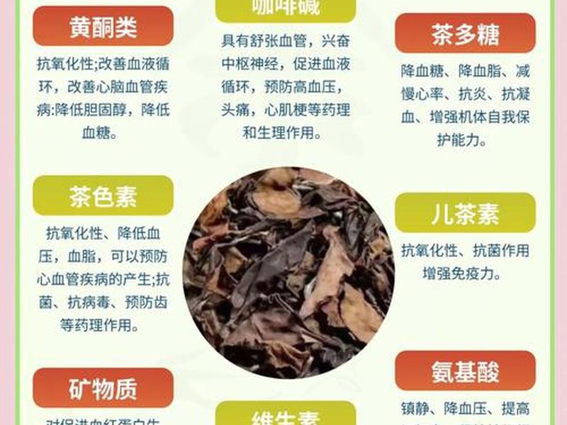 喝茶与疾病的关系 - 喝茶与疾病的关系论文 喝茶与疾病的关系 - 喝茶与疾病的关系论文