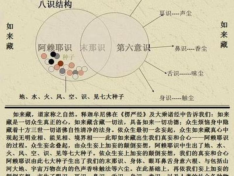 八个识的关系、八识的关系是怎样的 八个识的关系、八识的关系是怎样的