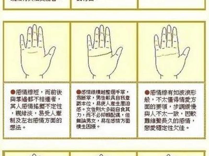 从感情线看性格(从感情线看性格特点) 从感情线看性格(从感情线看性格特点)