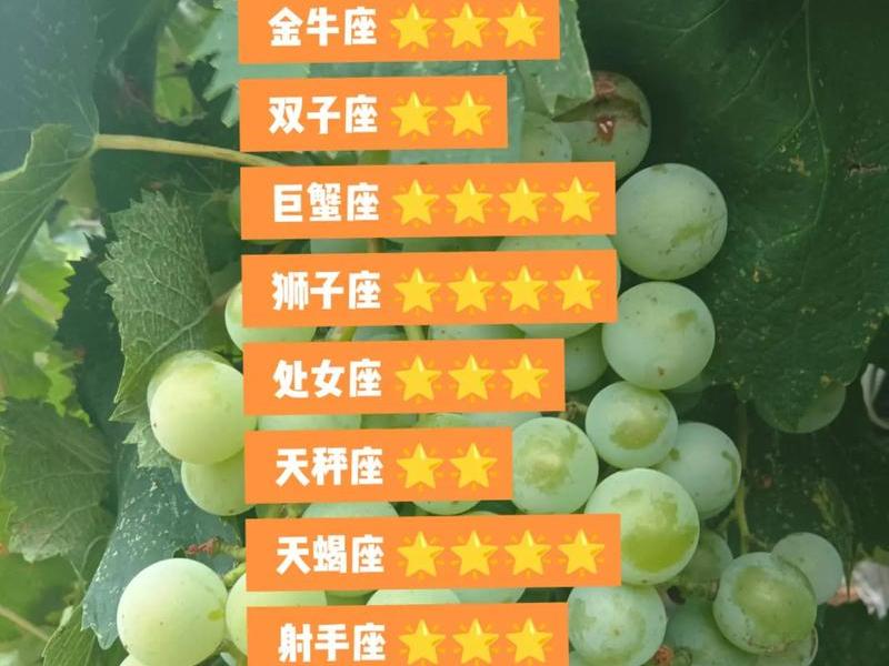 今日人际关系运势 今日人际关系运势如何 今日人际关系运势 今日人际关系运势如何