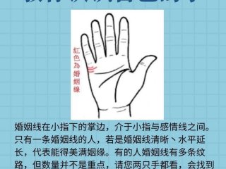 人的手掌中间那条线是什么线（手掌的中间是一条线什么意思）