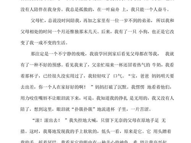 关于陪伴的心得体会（关于陪伴的心得体会800字）
