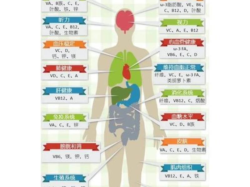 健康快乐的人际关系图表（健康和快乐的关系）