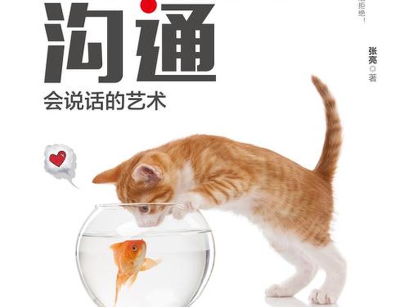 人际沟通的说话艺术（人际沟通的说话艺术包括）