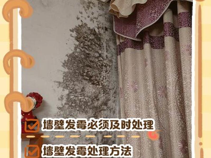 墙壁发霉起皮脱落怎么处理 - 墙壁发霉起皮脱落怎么处理好