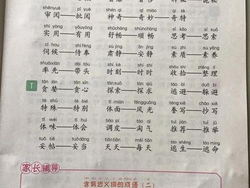 处理人际关系近义词、处理人际关系近义词成语 处理人际关系近义词、处理人际关系近义词成语