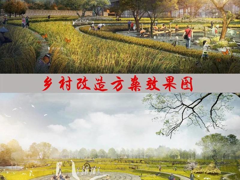 农村社交圈建设(农村社交圈建设方案) 农村社交圈建设(农村社交圈建设方案)