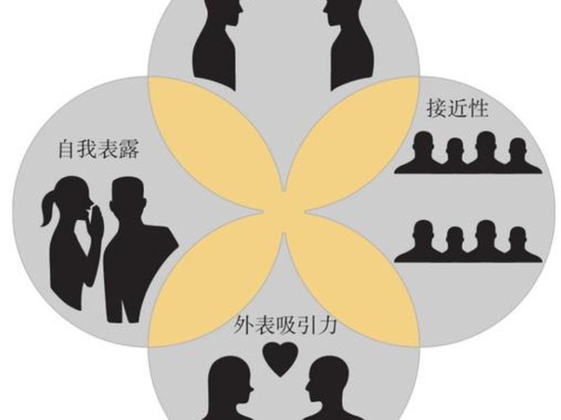 不属于人际吸引和交往的因素,不属于人际吸引和交往的因素是 不属于人际吸引和交往的因素,不属于人际吸引和交往的因素是