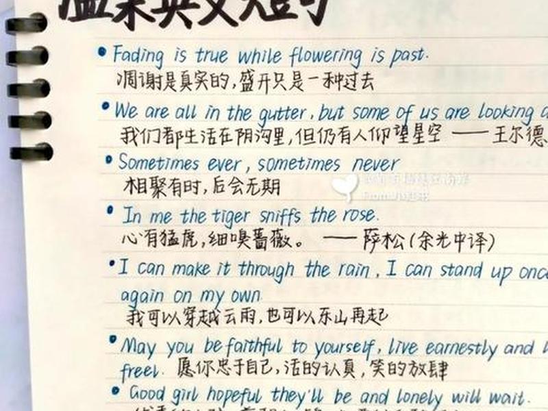 人际关系比我重要英文翻译 - 人际关系比我重要英文翻译怎么写 人际关系比我重要英文翻译 - 人际关系比我重要英文翻译怎么写
