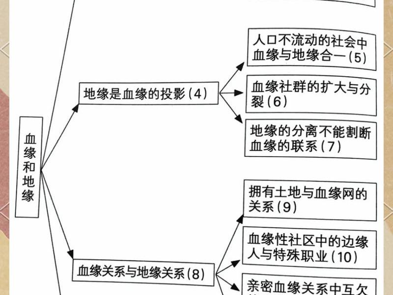 地缘社会是什么，地缘社会是什么意思