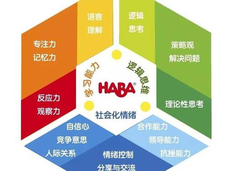 24堂逻辑思维课、24堂逻辑思维课多少钱 24堂逻辑思维课、24堂逻辑思维课多少钱