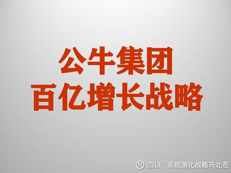 公牛管理层的矛盾、公牛集团管理层