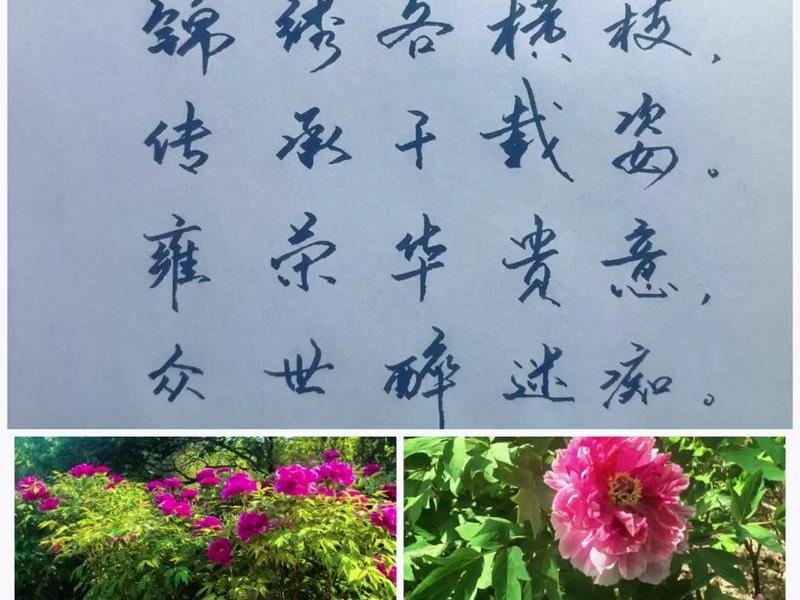 关于锦上添花的祝福语 关于锦上添花的祝福语句 关于锦上添花的祝福语 关于锦上添花的祝福语句