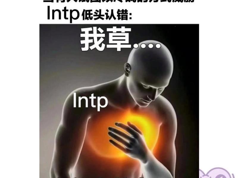 ln在人格里代表什么，in型人格是什么人格