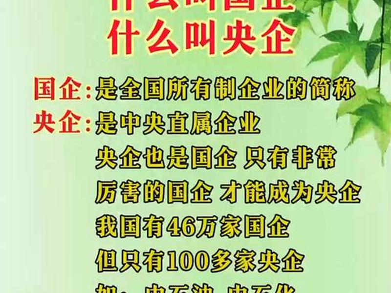 国企怎么理解;国企怎么理解这个概念 国企怎么理解;国企怎么理解这个概念