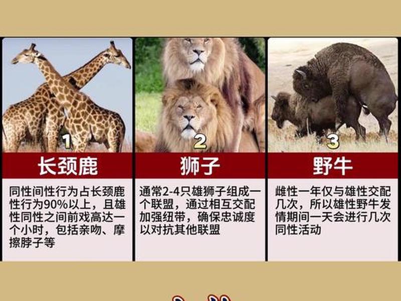 哪种动物交往异性最多、哪种动物交往异性最多呢 哪种动物交往异性最多、哪种动物交往异性最多呢