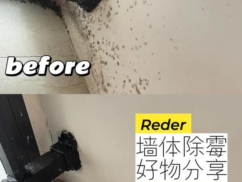 墙壁发霉怎么处理小巧、墙壁发霉怎么处理小巧一点