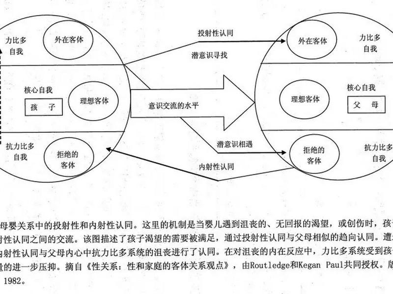 买卖关系的客体 买卖关系的客体是行为吗