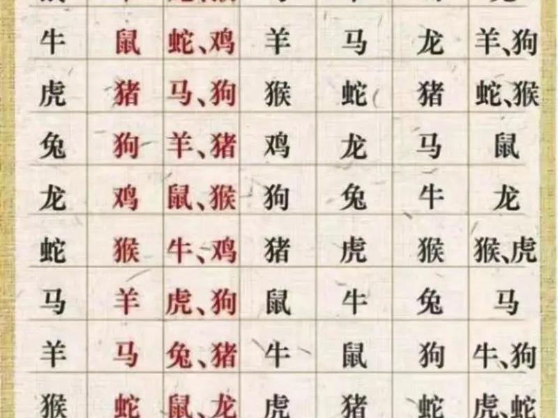 人际关系比较好的三个生肖，人际关系比较好的三个生肖有哪些