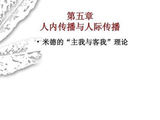 大众化的人际传播 大众化的人际传播是指