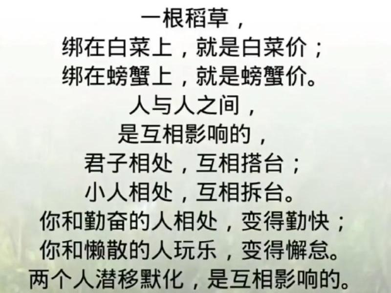 农村俗语关于人际关系(农村俗语关于人际关系的句子) 农村俗语关于人际关系(农村俗语关于人际关系的句子)