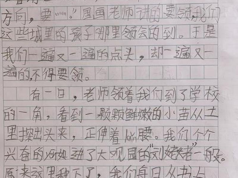 关于人际关系的小建议（关于人际关系的小建议作文）