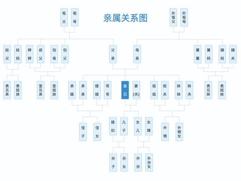 亲戚关系的处理原则,亲戚关系的处理原则是什么 亲戚关系的处理原则,亲戚关系的处理原则是什么