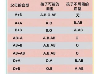 哪个血型跟哪个血型不容不能结婚（哪个血型和哪个血型不能结婚）