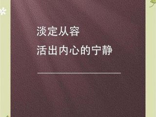 从容应对的意思是什么意思（从容应对的意思是什么意思啊）