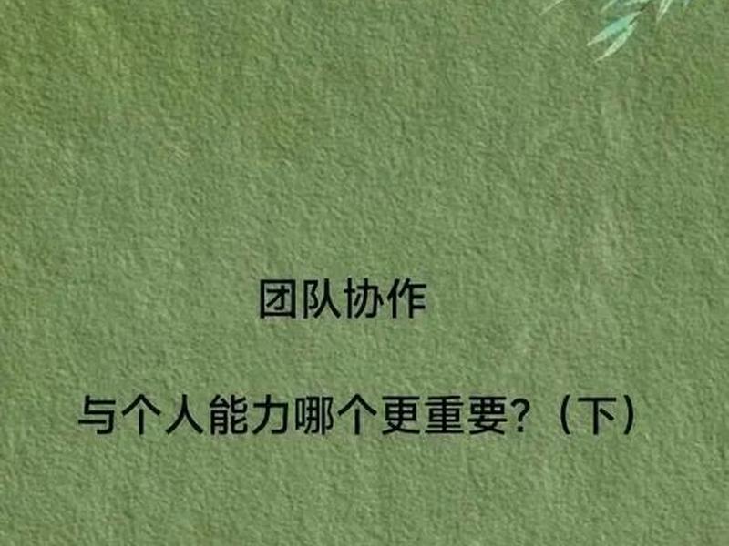 个人能力和团队哪个更重要;个人能力和团队哪个更重要一点 个人能力和团队哪个更重要;个人能力和团队哪个更重要一点