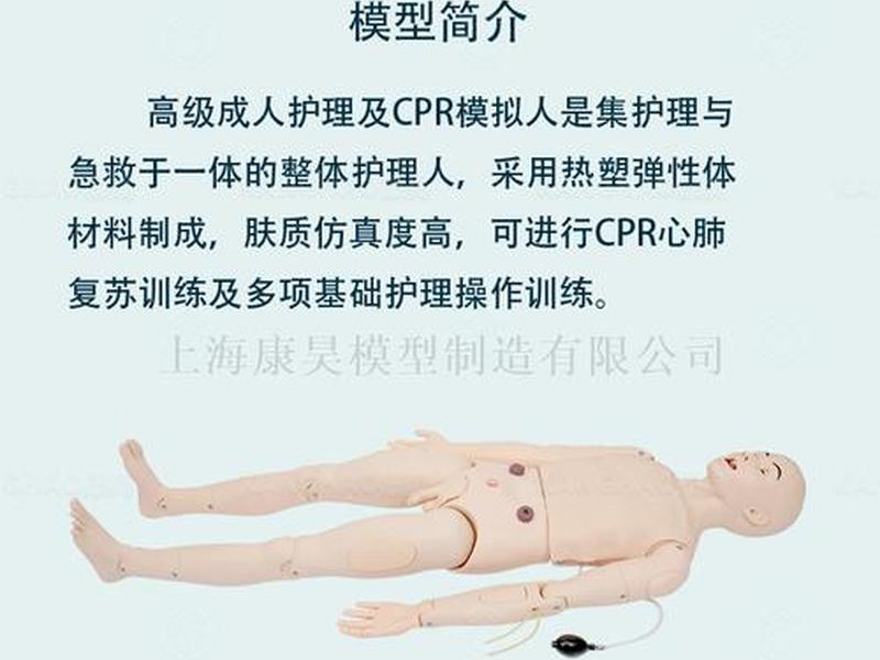 cpr假人模型怎么使用 - cpr模拟人怎么开启? cpr假人模型怎么使用 - cpr模拟人怎么开启?