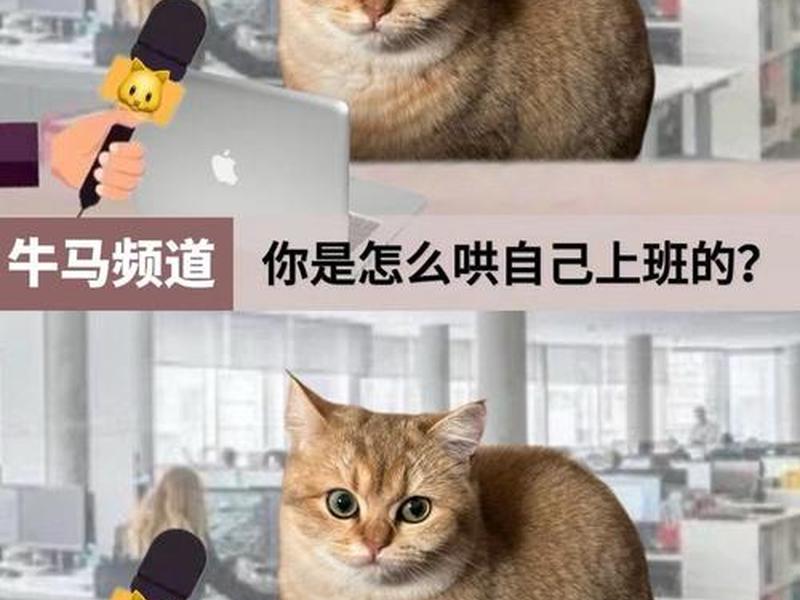 刚上班有点儿不适应怎么安慰 刚上班有点儿不适应怎么安慰他 刚上班有点儿不适应怎么安慰 刚上班有点儿不适应怎么安慰他