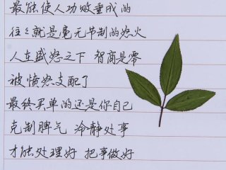 从容应对的句子 - 从容应对的句子说说