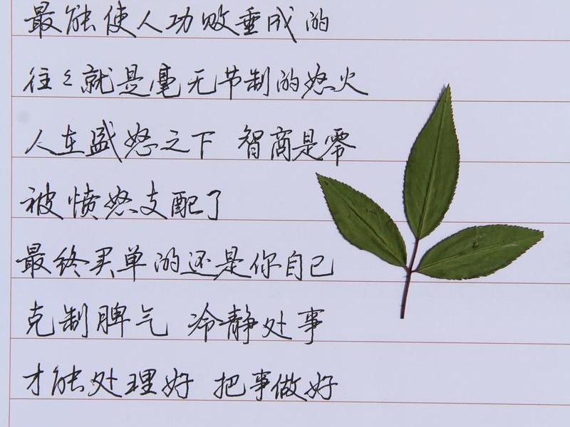 从容应对的句子 - 从容应对的句子说说