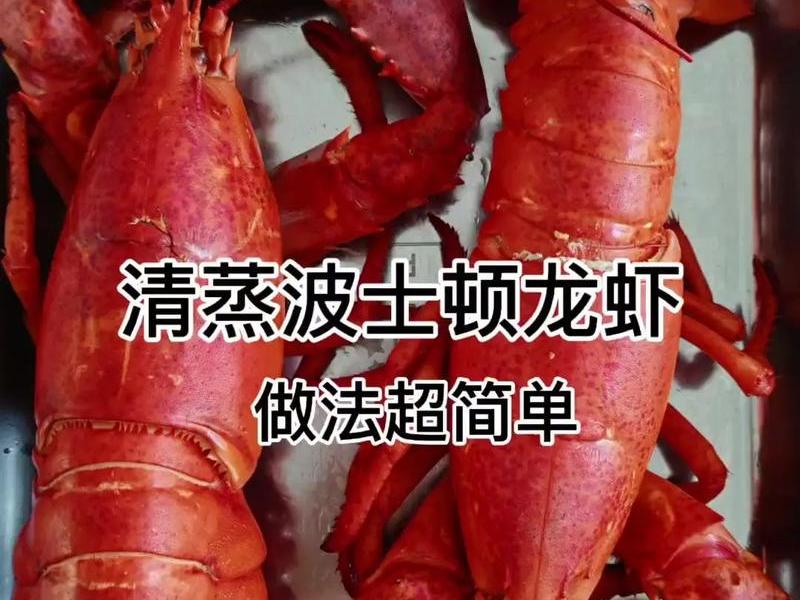大龙虾怎么操作(大龙虾怎么操作视频) 大龙虾怎么操作(大龙虾怎么操作视频)