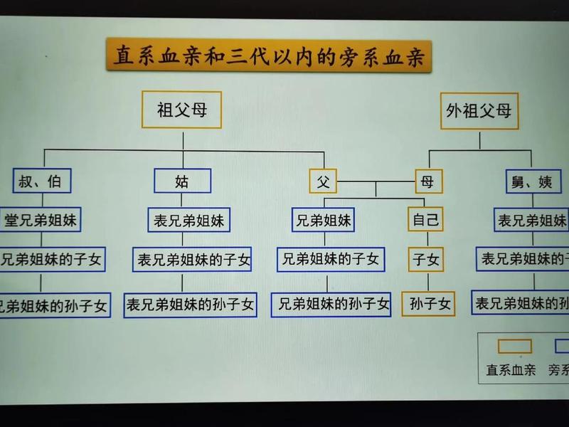 代际关系包括什么,代际关系不包括() 代际关系包括什么,代际关系不包括()