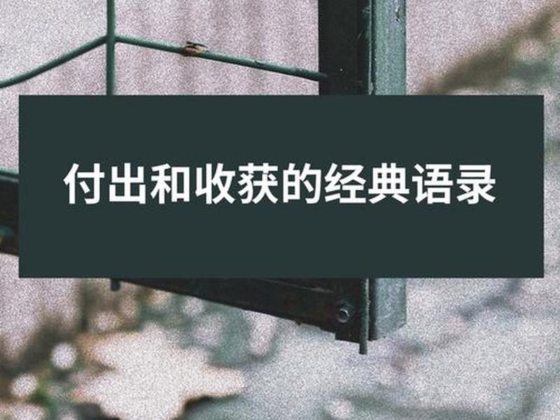 付出就要有回报人际交往技巧、付出就要有回报人际交往技巧的句子