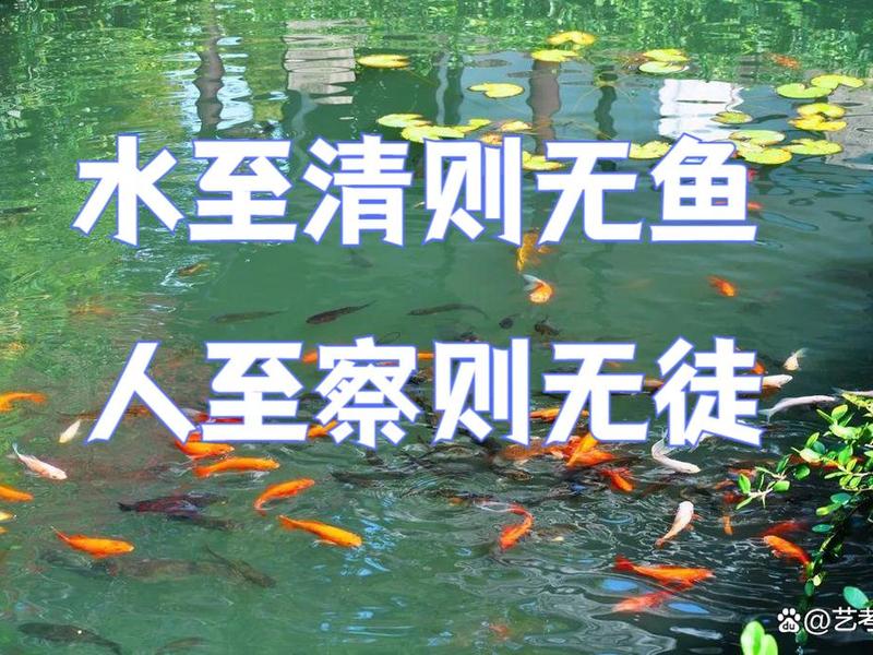 处理人际关系如鱼得水 人际关系处理得当 处理人际关系如鱼得水 人际关系处理得当