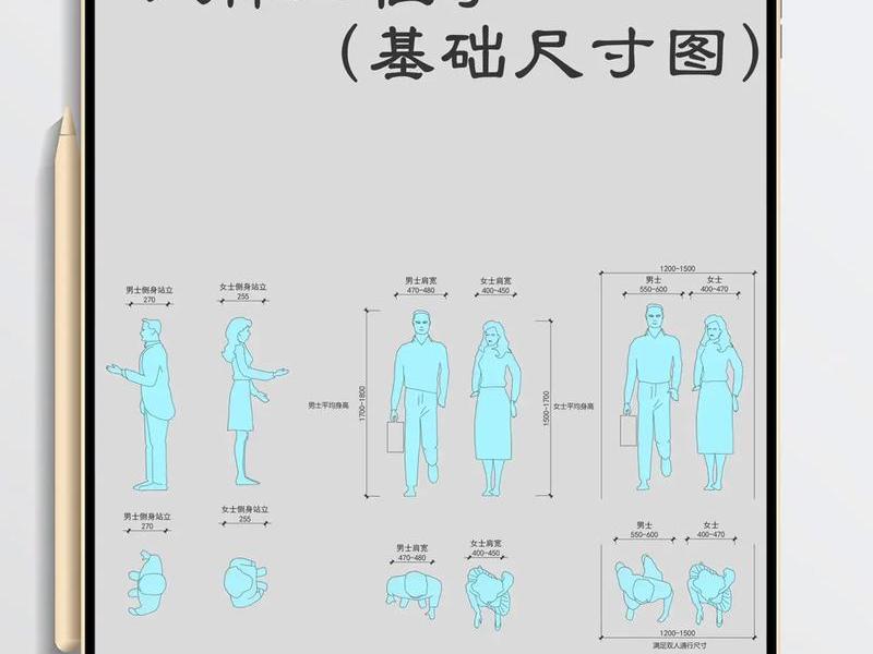 人机关系中的动态和静态尺寸(举例说明人体的静态尺寸和动态尺寸的关系) 人机关系中的动态和静态尺寸(举例说明人体的静态尺寸和动态尺寸的关系)