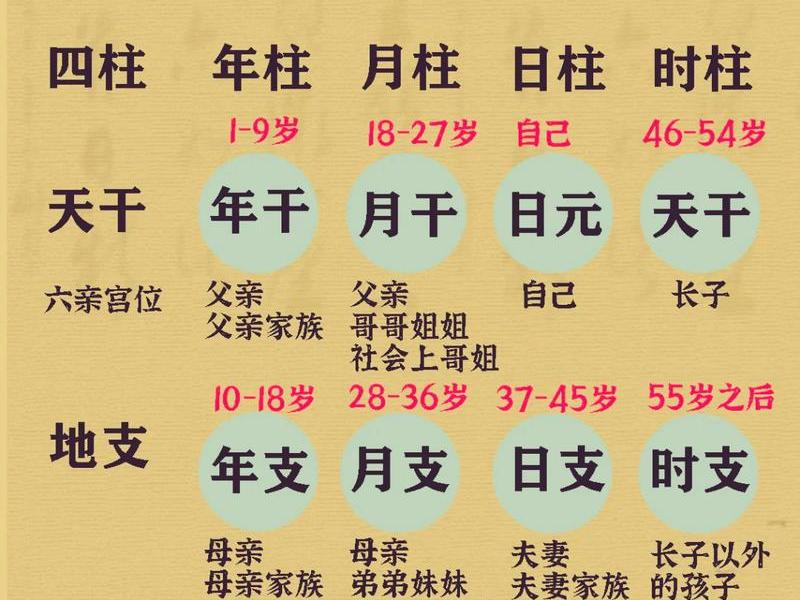 八字的哪一柱代表人际关系；八字中的每一柱代表什么
